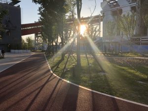 又见边境城市-沙盘 - 第1张  | 心灵花园网