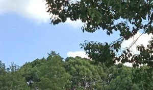 第403期心理沙龙