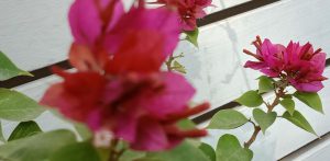 第421期心理沙龙