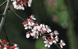 被规训的童年