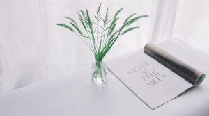 第426期心理沙龙